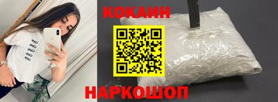 сатива Кингисепп