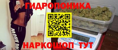 дживик Кинель