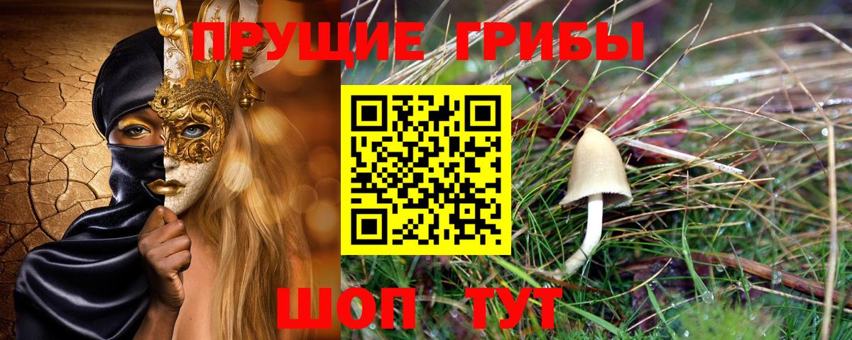 Котлас  Псилоцибиновые грибы ЛСД  Вход с VPN 